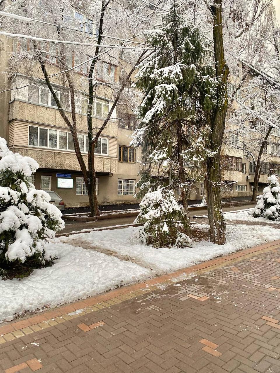 Alma-Ata Hostel Екстериор снимка