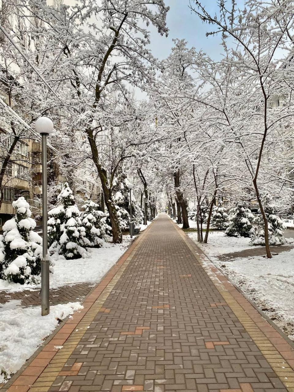 Alma-Ata Hostel Екстериор снимка